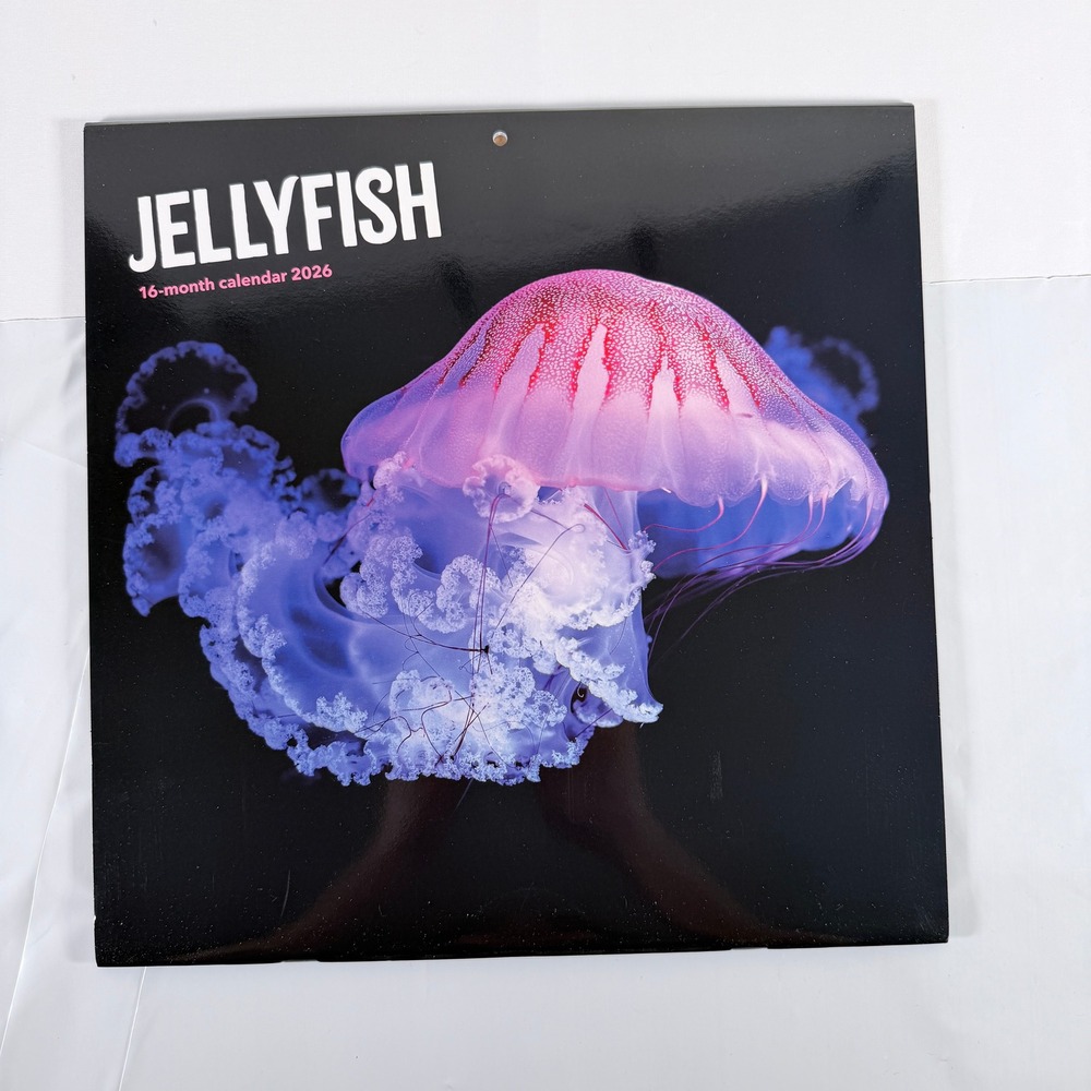 Jellyfish‎ 2026 Wall Calendar 16 Month Carousel Worldwide Ocean Sea Life New